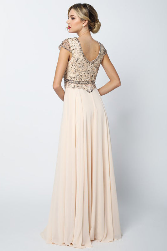 Formal Long Formal Evening A Line Dress Champagne