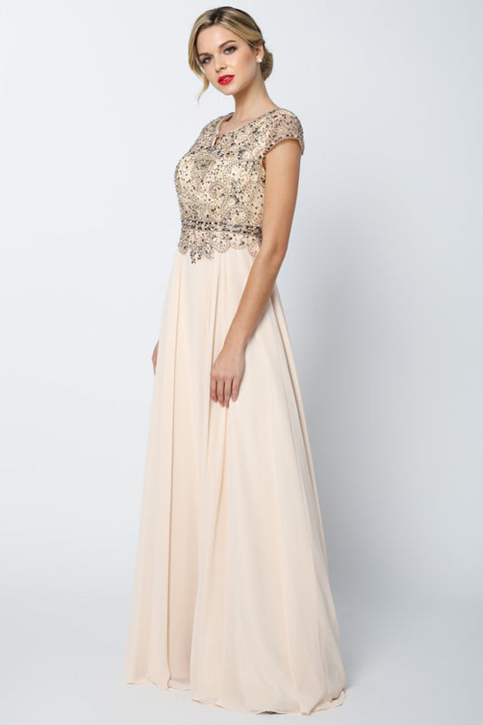 Formal Long Formal Evening A Line Dress Champagne