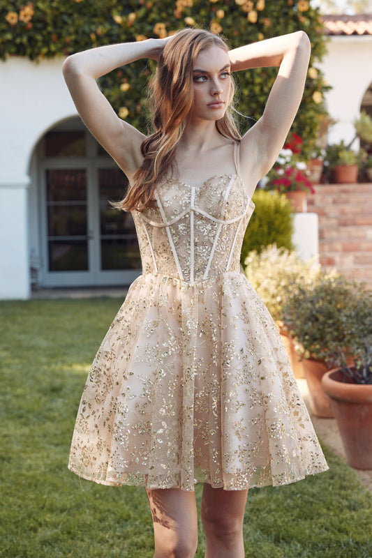 Cocktail Dresses Short Homecoming Glitter Corset A Line Prom Dress Champagne