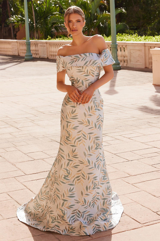 Plus Size Dresses Long Formal Printed Plus Size Evening Dress Champagne