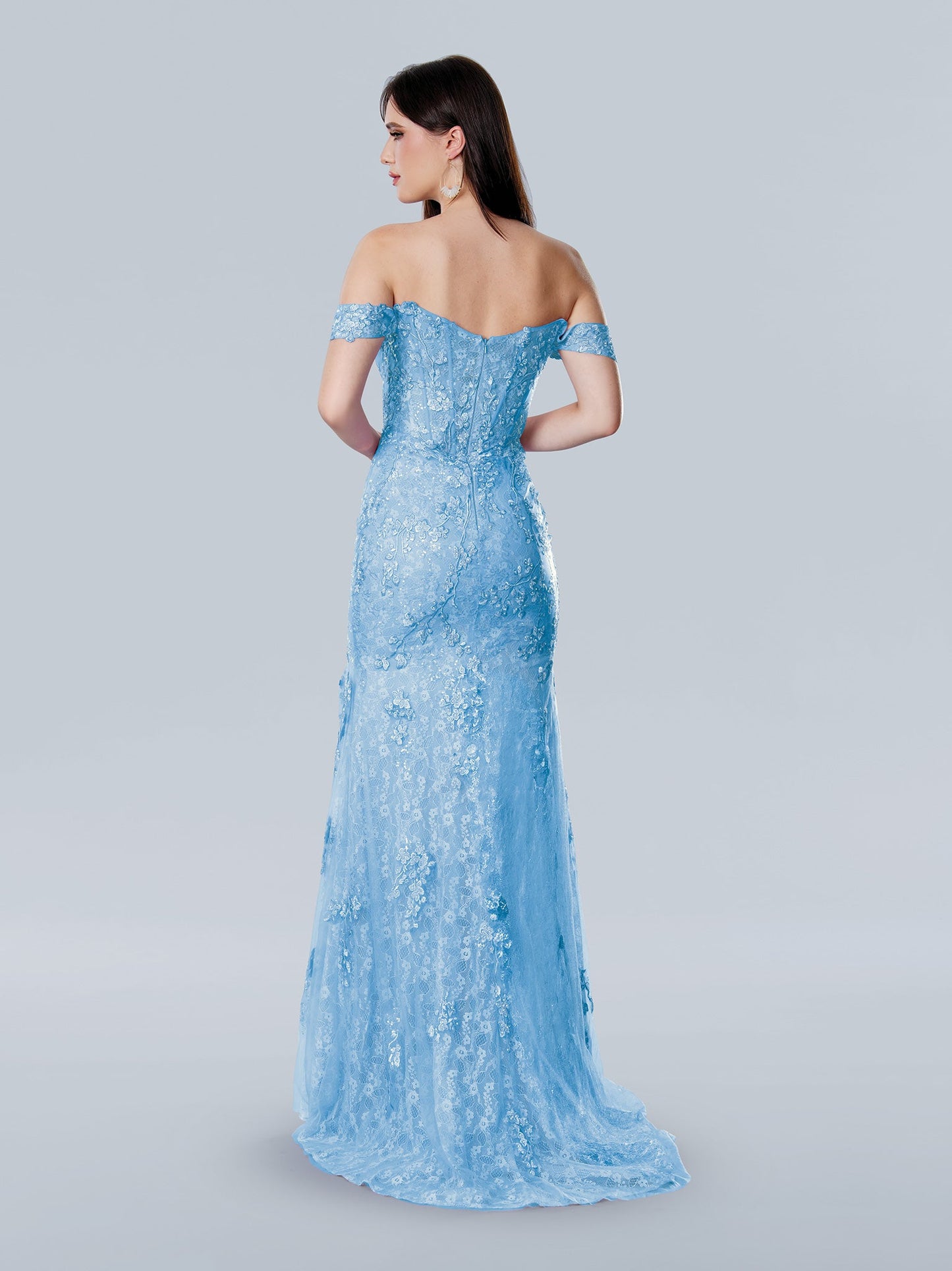 Prom Dresses A Line Long Formal Floral Lace Applique Prom Dress Light Blue