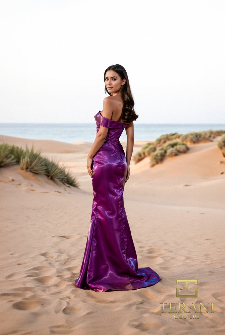Prom Dresses Long Evening Formal Fitted Prom Dress Plum