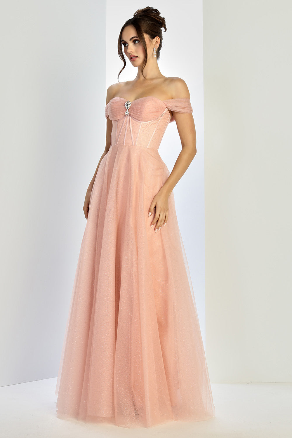 Prom Dresses Prom Long A Line Corset Glitter Formal Dress Rose