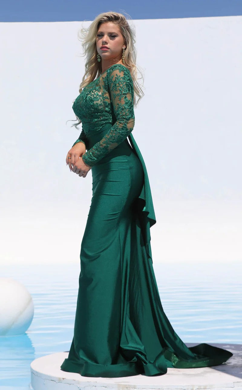Formal Dresses Long Sleeve Lace Formal Fitted Evening Dress Hunter