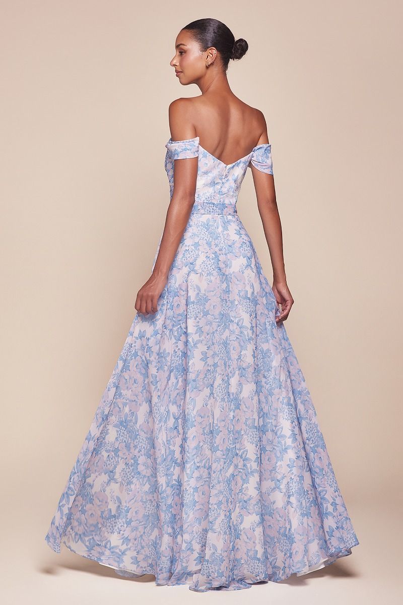 Prom Dresses Long A Line Floral Printed Formal Prom Dress Blue
