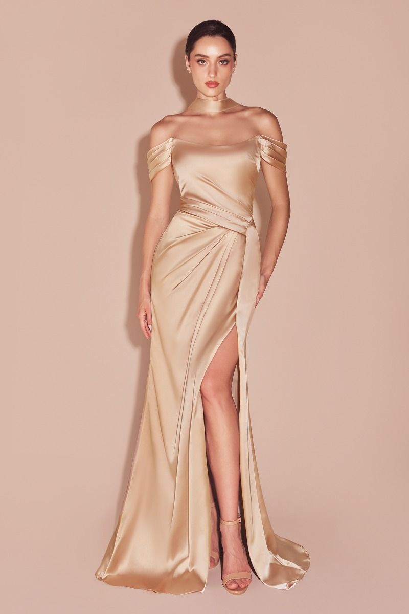 Prom Dresses Long Formal Evening Prom Slit Dress Champagne