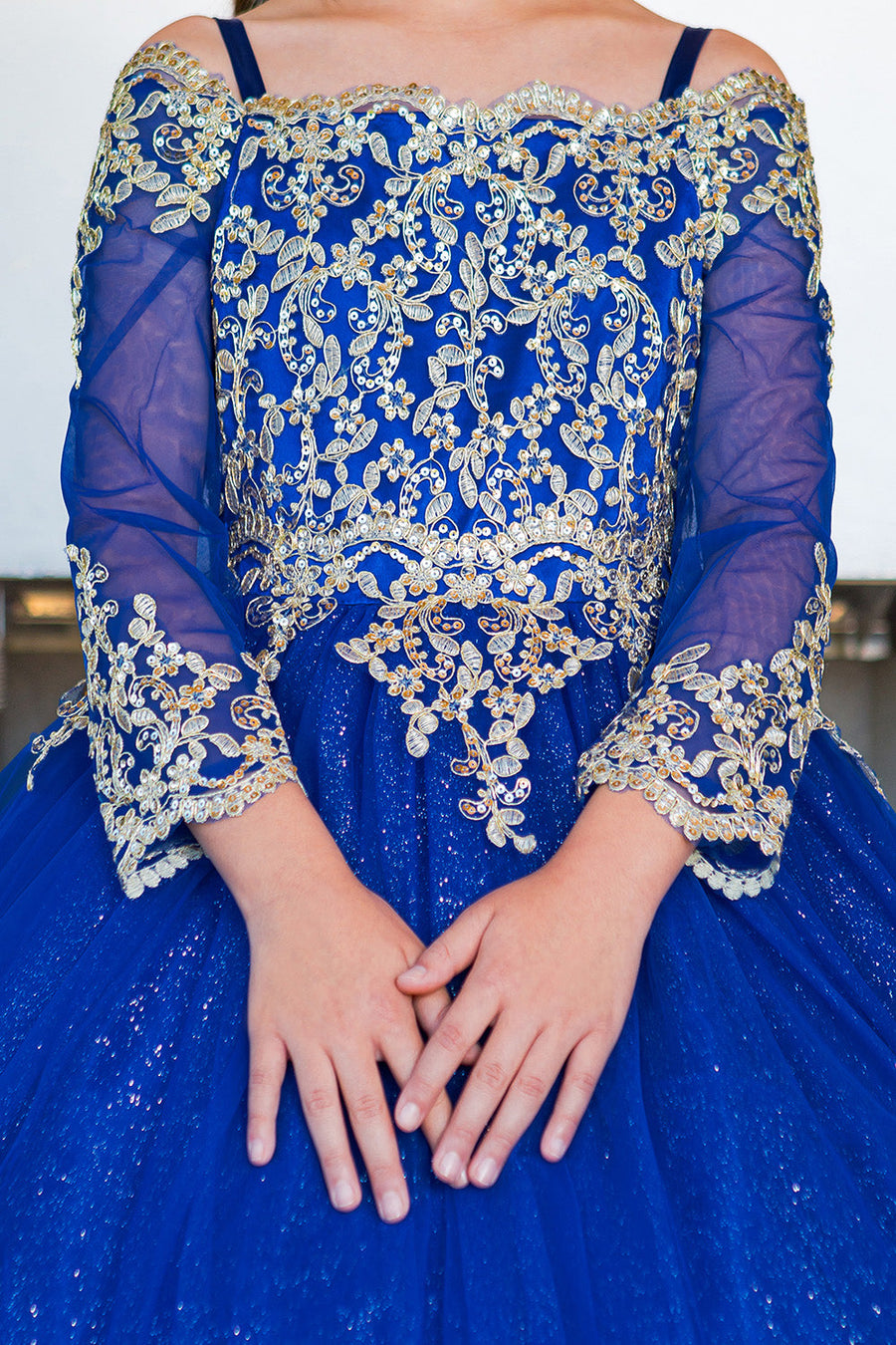 Flower Girl Dresses Glitter Lace Applique Flower Girl Dress Royal