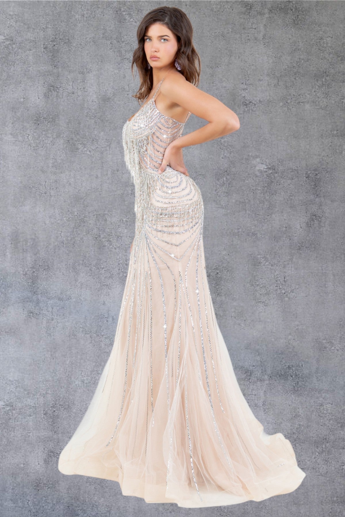 Prom Dresses Beaded Long Lace Formal Prom Dress Nude/Silver