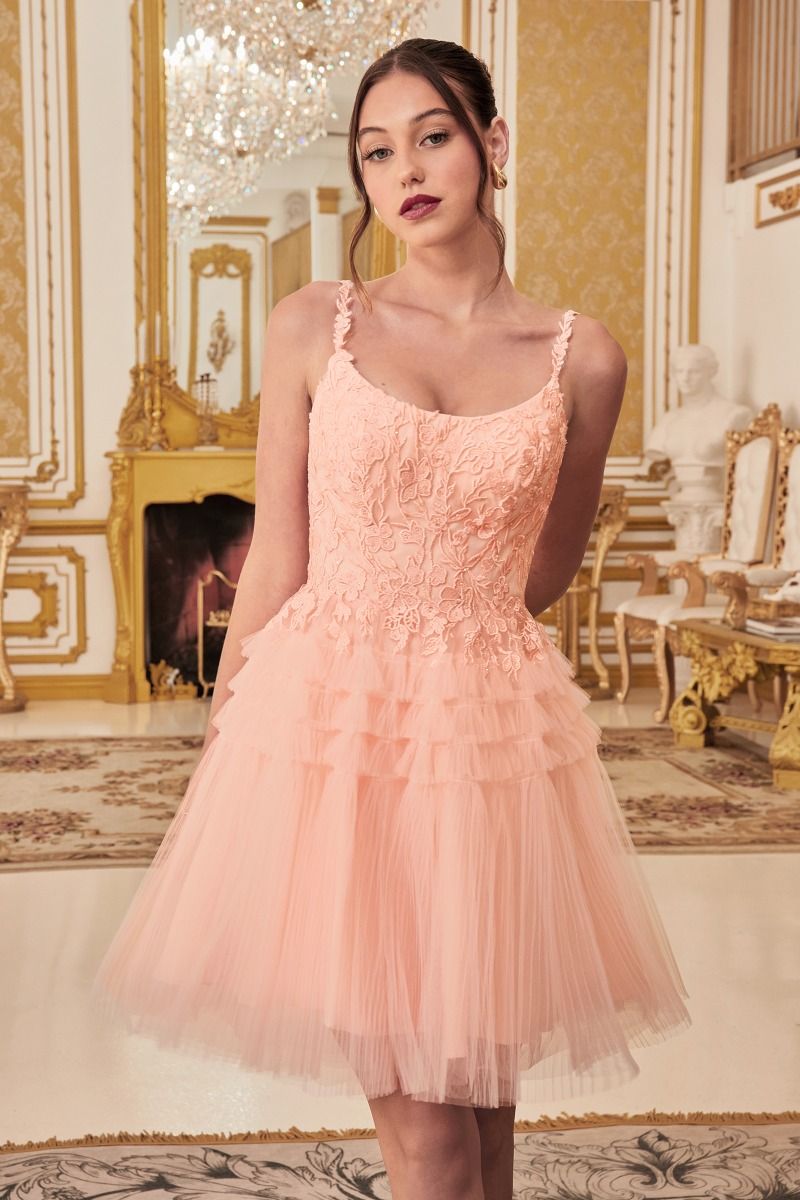 Cocktail Dresses Homecoming Short Pleated A Line Cocktail Dress Blush