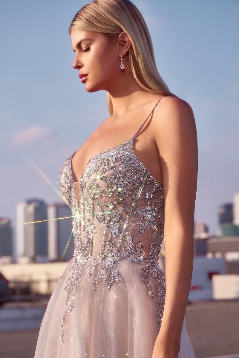 Prom Dresses Long Formal Glitter A Line Prom Dress Silver Nude