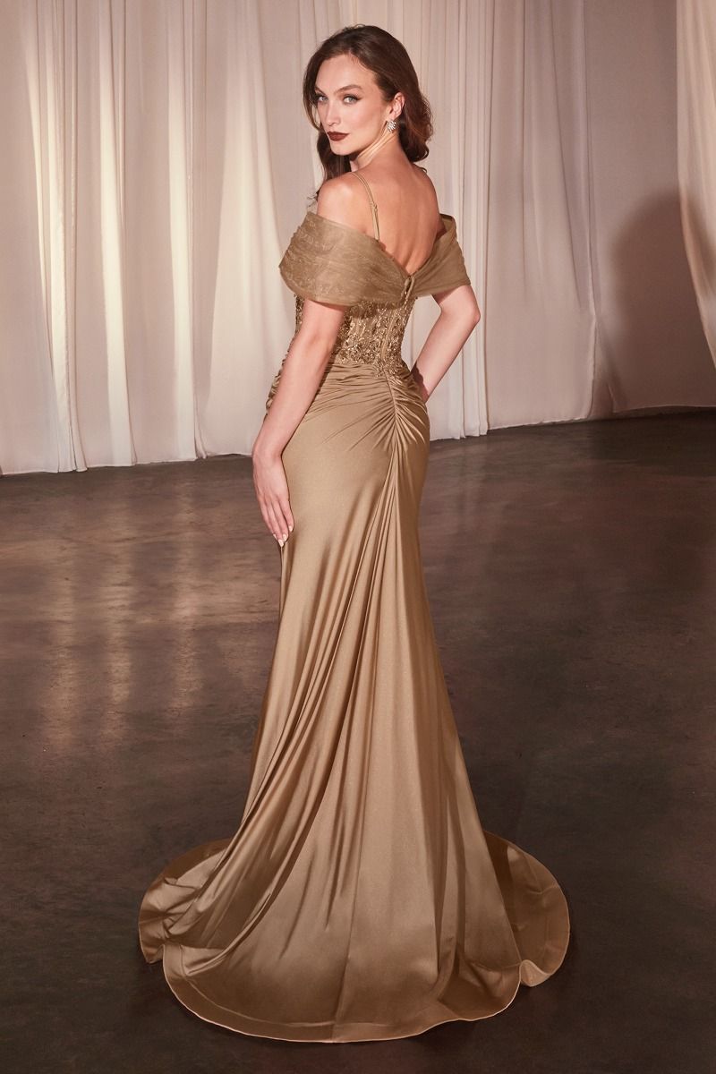 Formal Dresses Fitted Formal Evening Long Gown Gold