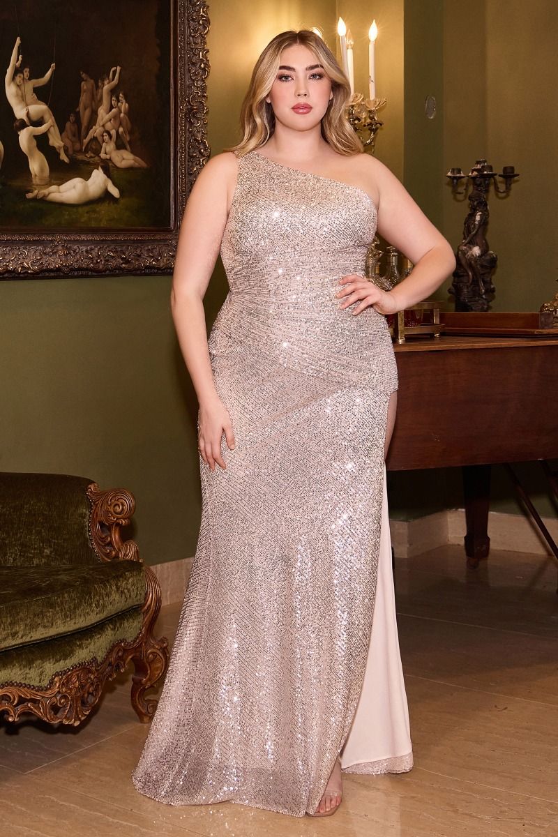 Plus Size Dresses Fitted Sequin Long Formal Plus Size Prom Gown Platinum