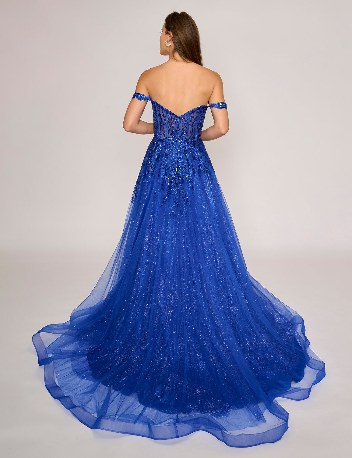 Prom Dresses Long Glitter Formal Prom Slit Dress Royal