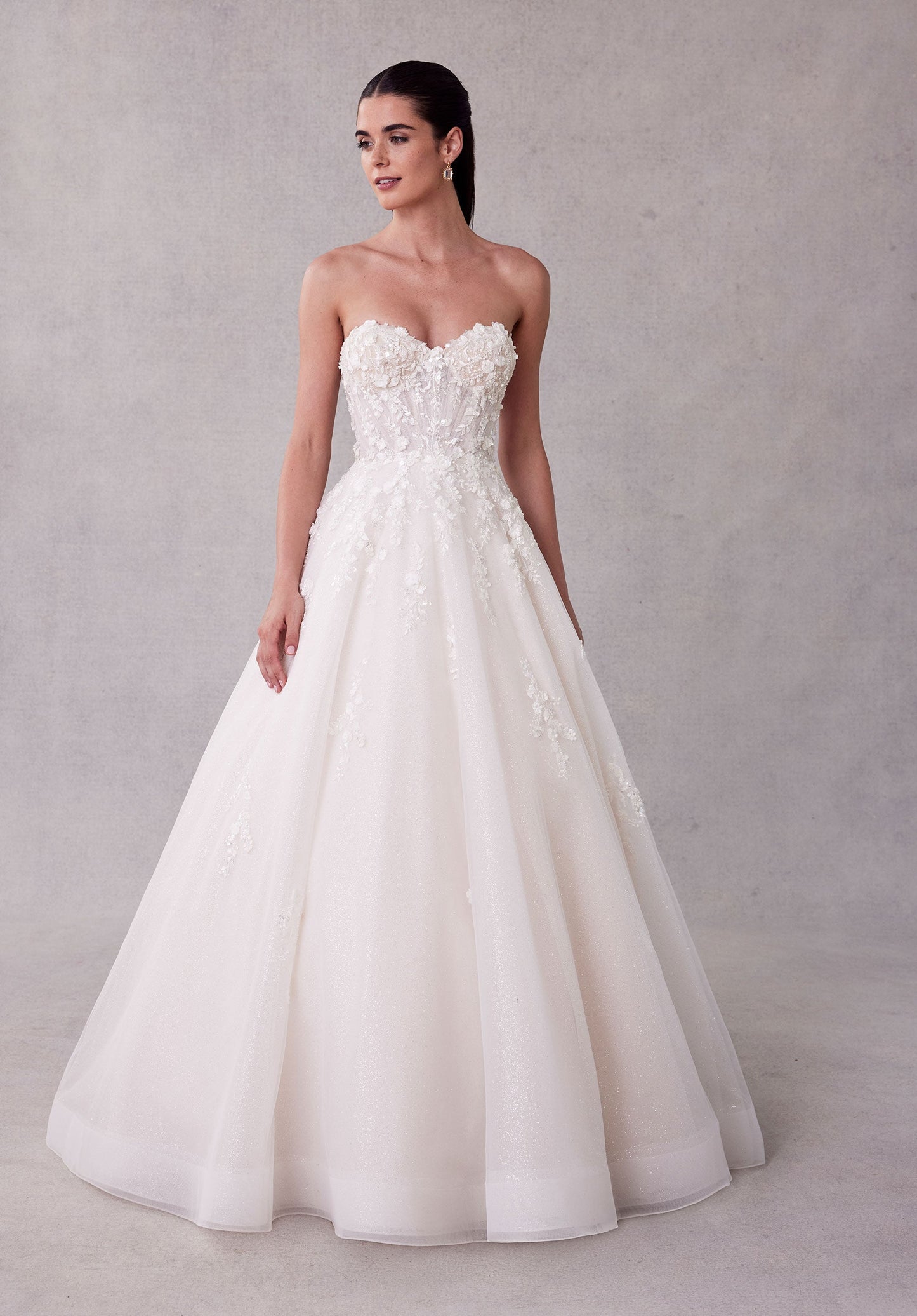 Wedding Dresses Long Glitter A Line Lace Wedding Dress Ivory/Champagne