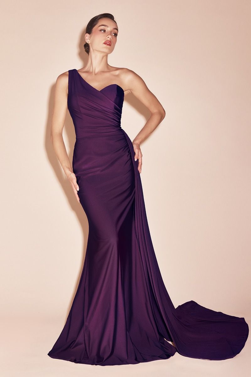 Prom Dresses Long Fitted Formal Evening Gown Eggplant