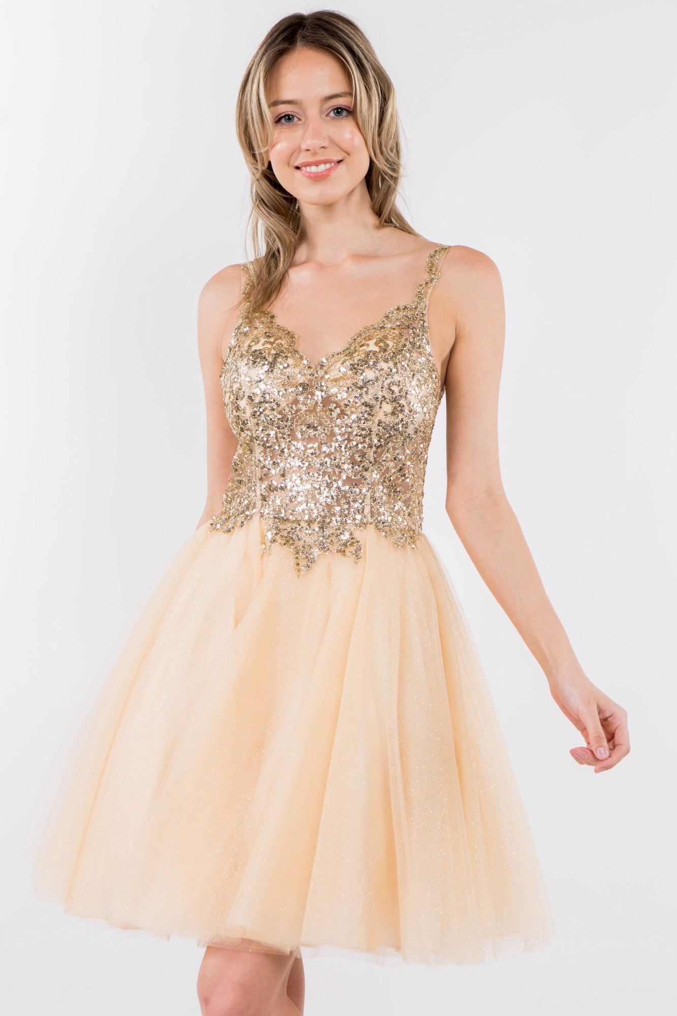 Sheer Bodice Short Homecoming Dress - The Dress Outlet