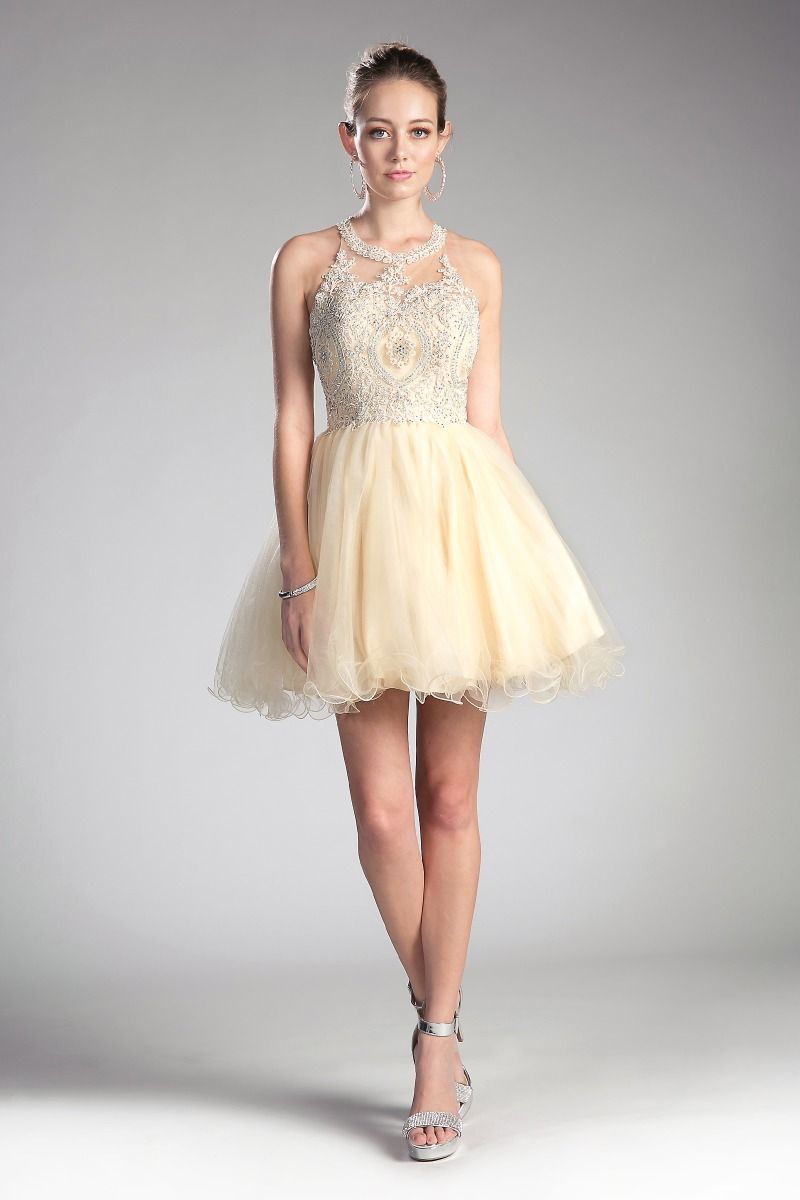 Cocktail Dresses Short Lace Applique Cocktail Dress Champagne