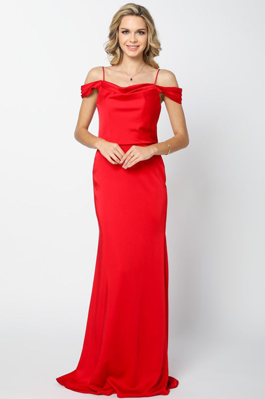 Prom Dresses Fitted Long Formal Evening Prom Dress Red