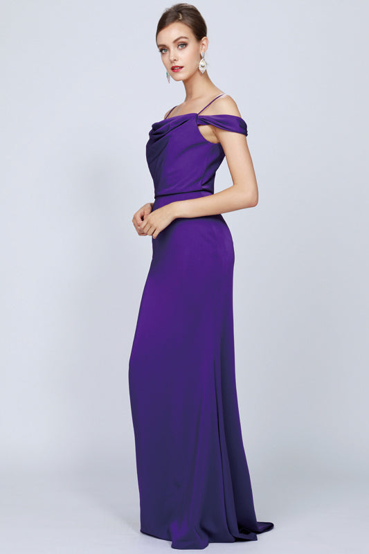 Prom Dresses Fitted Long Formal Evening Prom Dress Purple