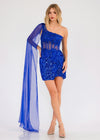 Cocktail Dresses Sequin Short Lace Applique Cocktail Dress Royal Blue