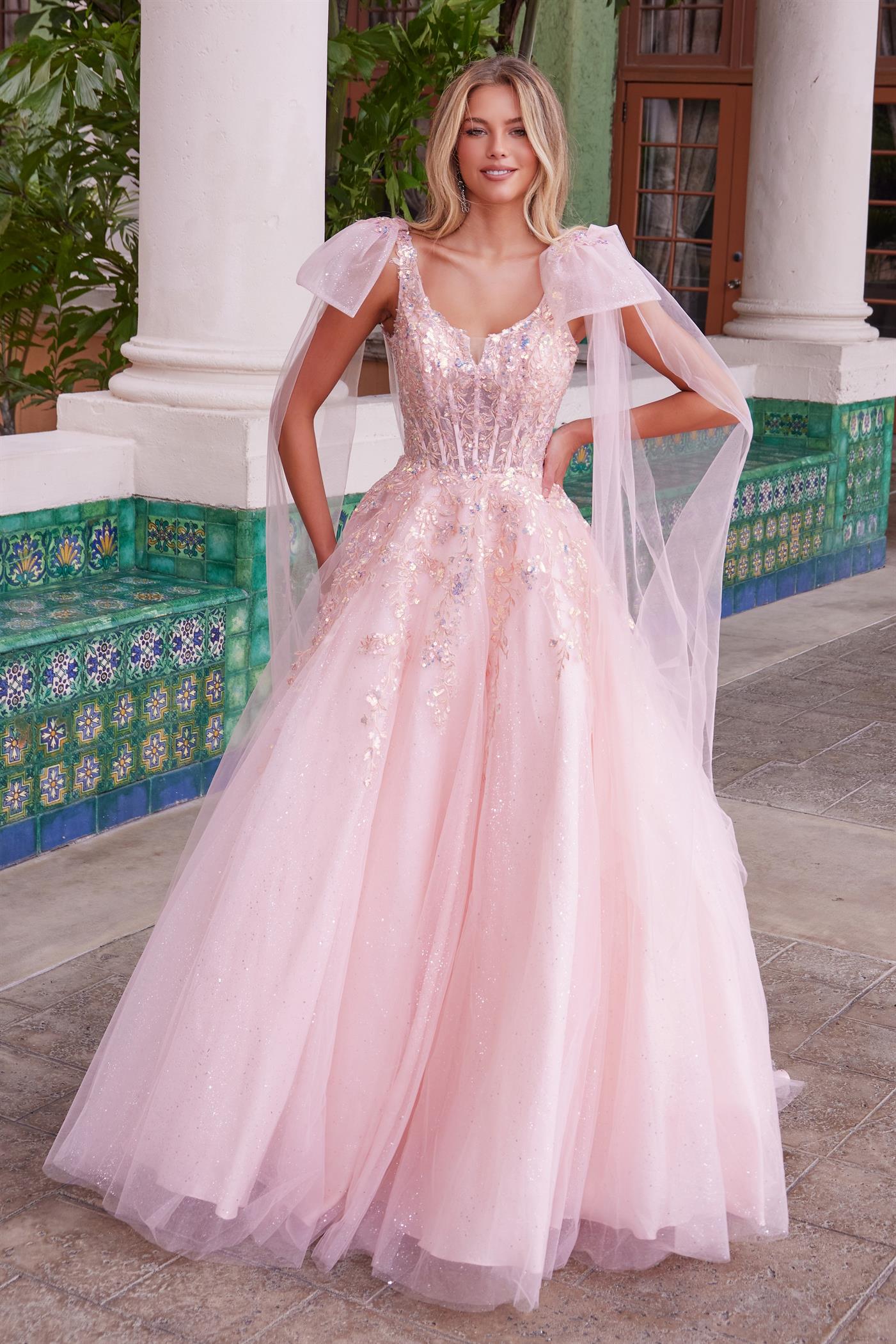 Prom Dresses Long Formal A Line Applique Prom Dress Blush