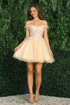 Cocktail Dresses Homecoming Short Floral Applique Prom Dress Champagne