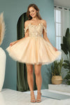 Cocktail Dresses A Line Homecoming Glitter Applique Prom Dress Champagne