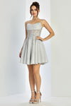 Cocktail Dresses Short Homecoming Glitter Corset Prom Dress Silver