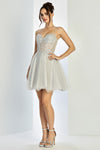 Cocktail Dresses Homecoming Short A Line Corset Applique Cocktail Dress Silver