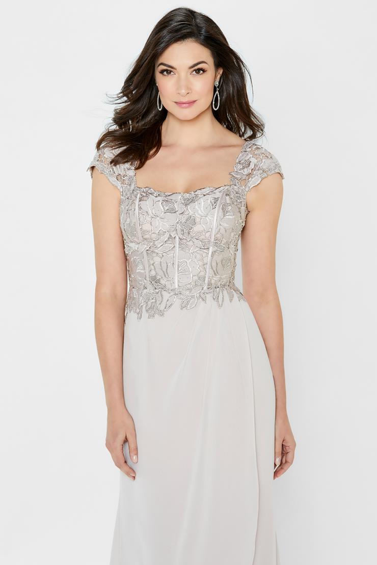 Formal Dresses Long Lace Bodice A Line Formal Dress Mink