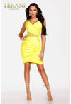 Cocktail Dresses Short Cocktail Fitted Prom Dress Citrine
