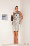 Cocktail Dresses Sheath Short Evening Dress Silver Black