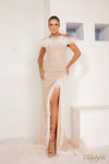 Formal Dresses Long Evening Fitted Formal Dress Ivory Nude