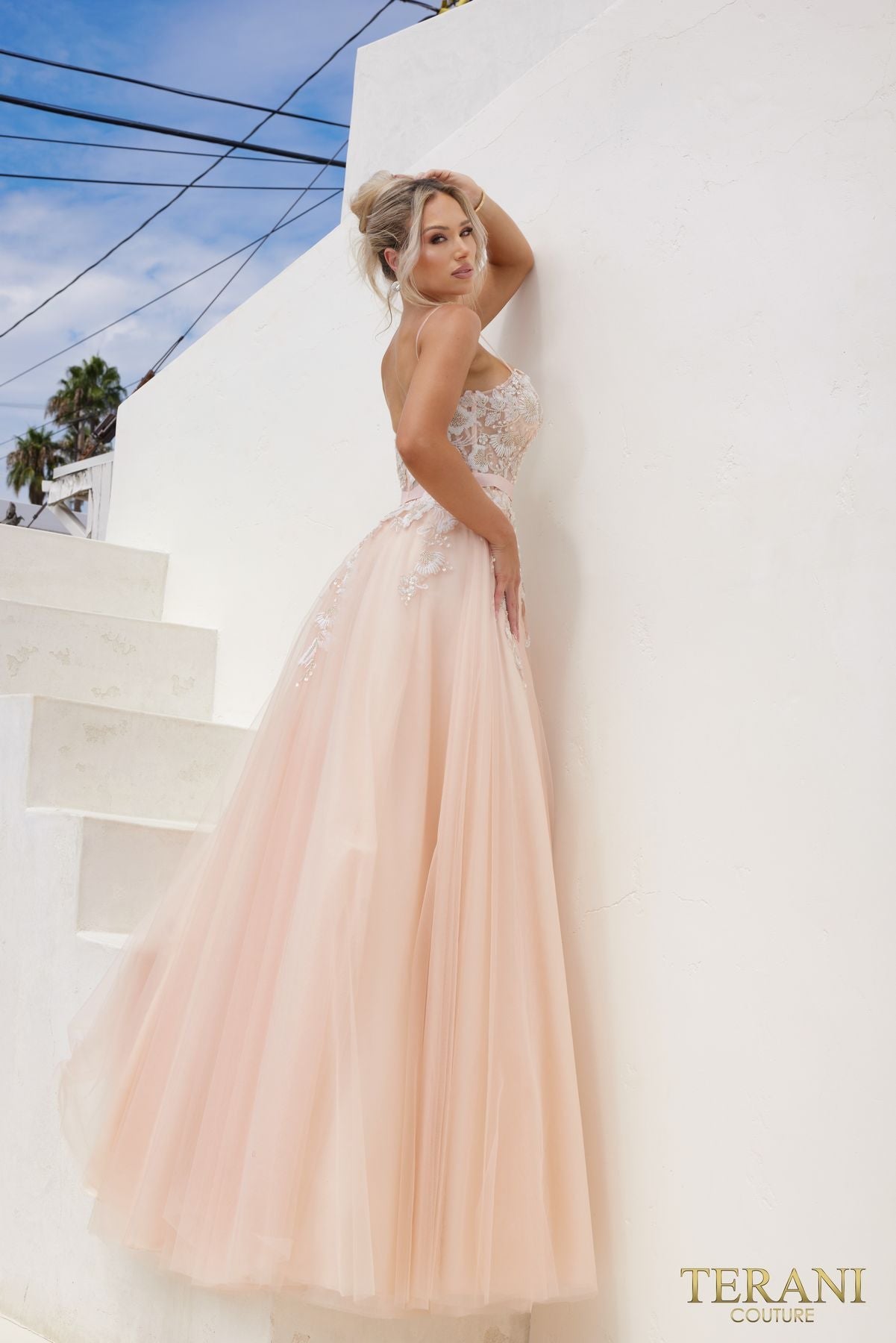 Prom Dresses Long A Line Prom Dress Blush