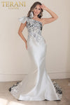 Formal Dresses Long Fitted Formal Trail Gown Silver Black