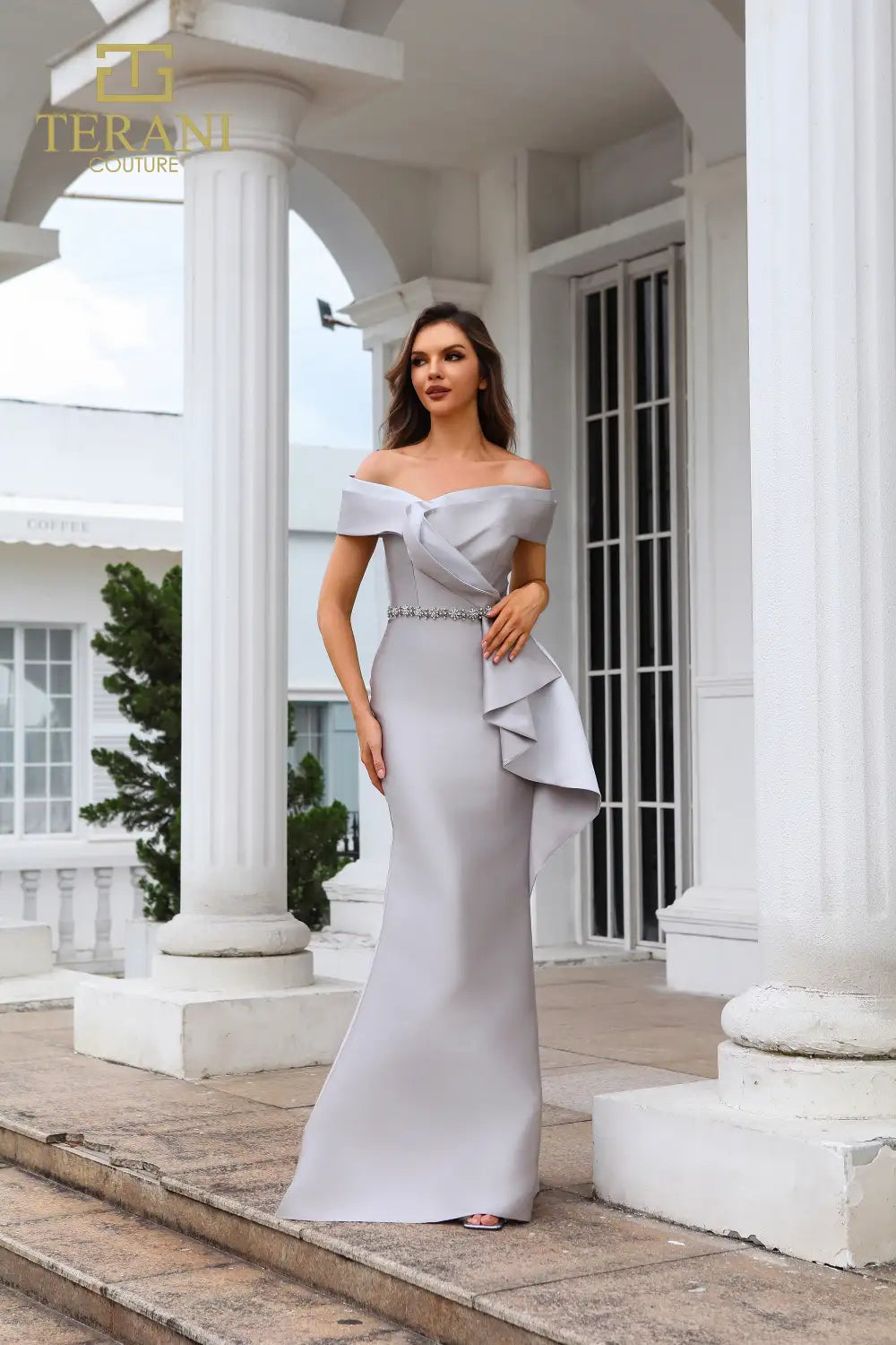 Formal Dresses Long Evening Gown Fitted Formal Dress  Taupe Silver
