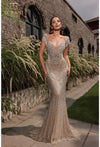 Formal Dresses Fitted Formal Evening Long Dress Silver Nude