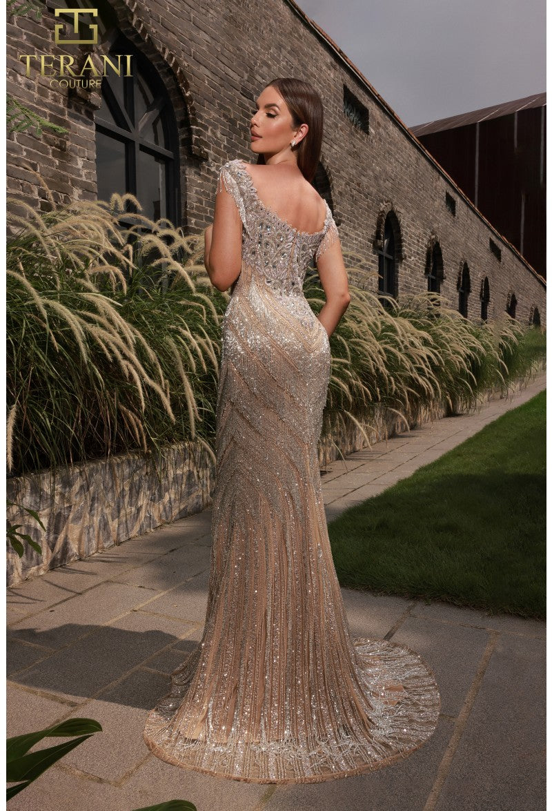 Formal Dresses Fitted Formal Evening Long Dress Silver Nude