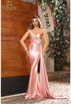 Prom Dresses Mermaid Fit Long Formal Evening Prom Dress Blush