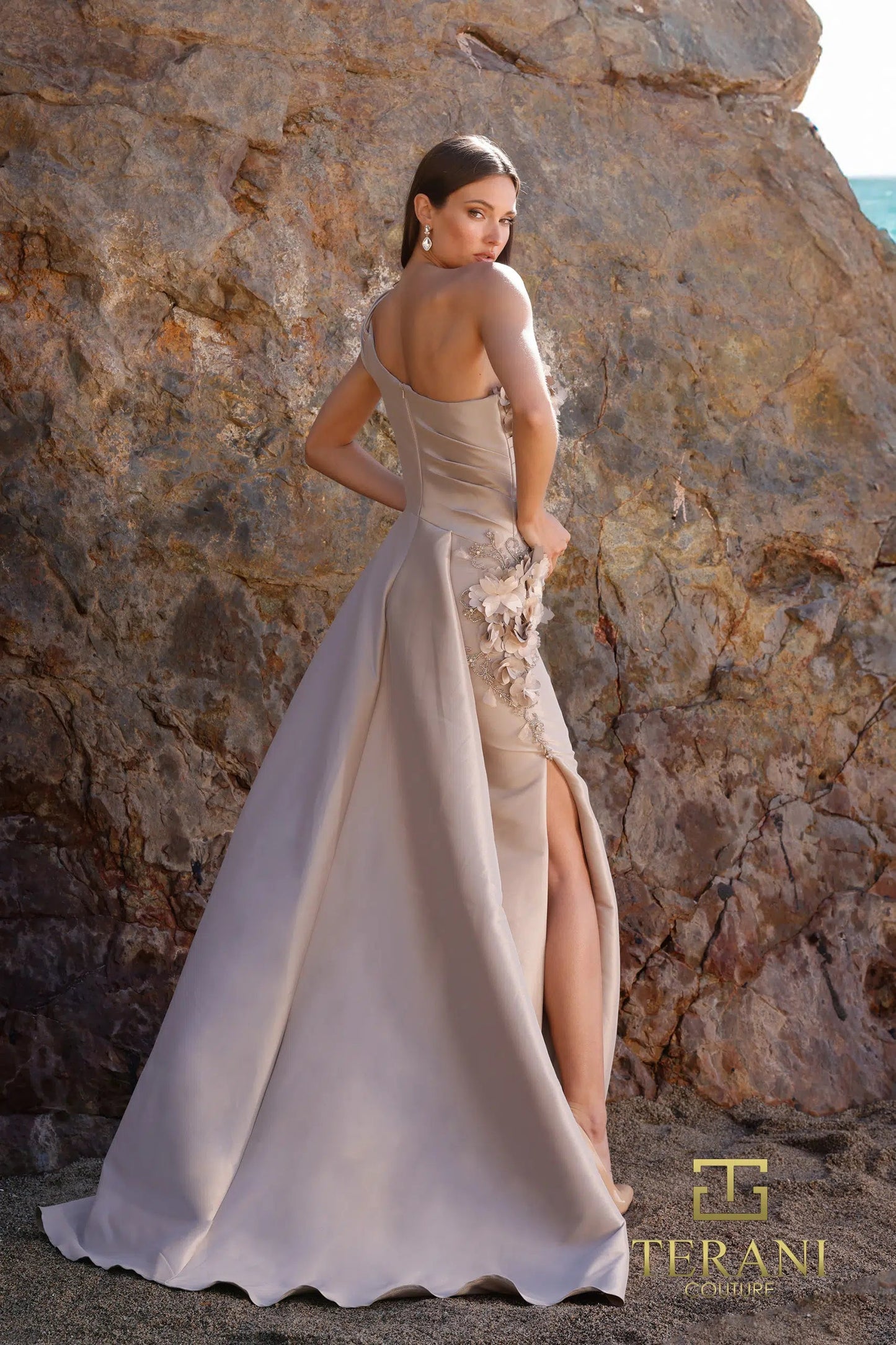 Formal Dresses Long Formal Overskirt Bodycon Evening Dress Taupe