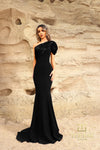Formal Dresses Long Evening Formal Fitted Dress Black