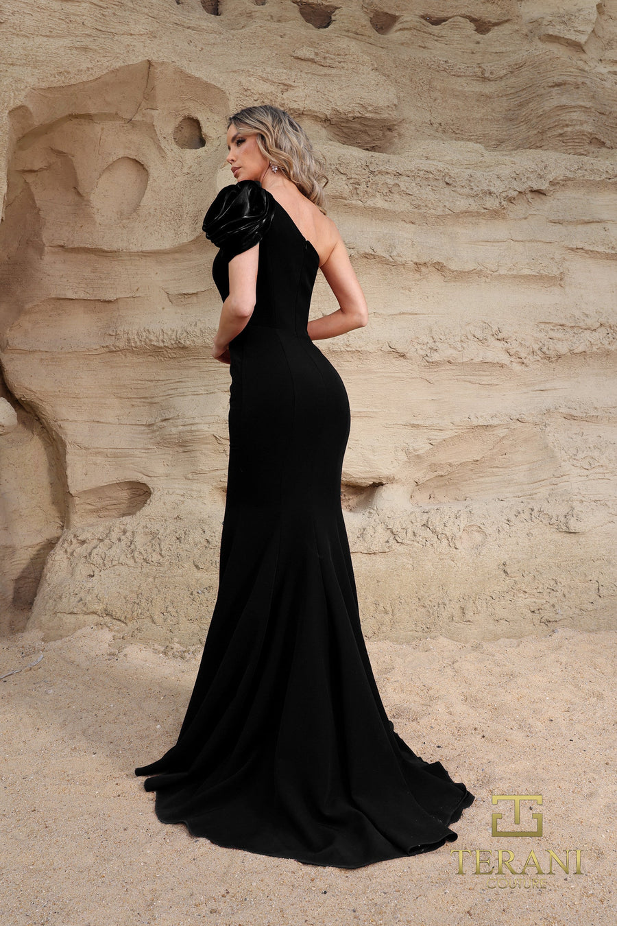 Formal Dresses Long Evening Formal Fitted Dress Black