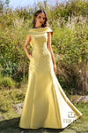 Formal Dresses Long Evening Formal A Line Dress Gold