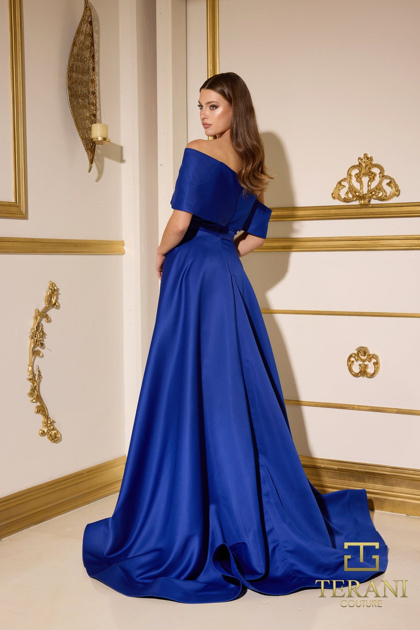 Formal Dresses Long Fitted Formal Overskirt Evening Dress Royal