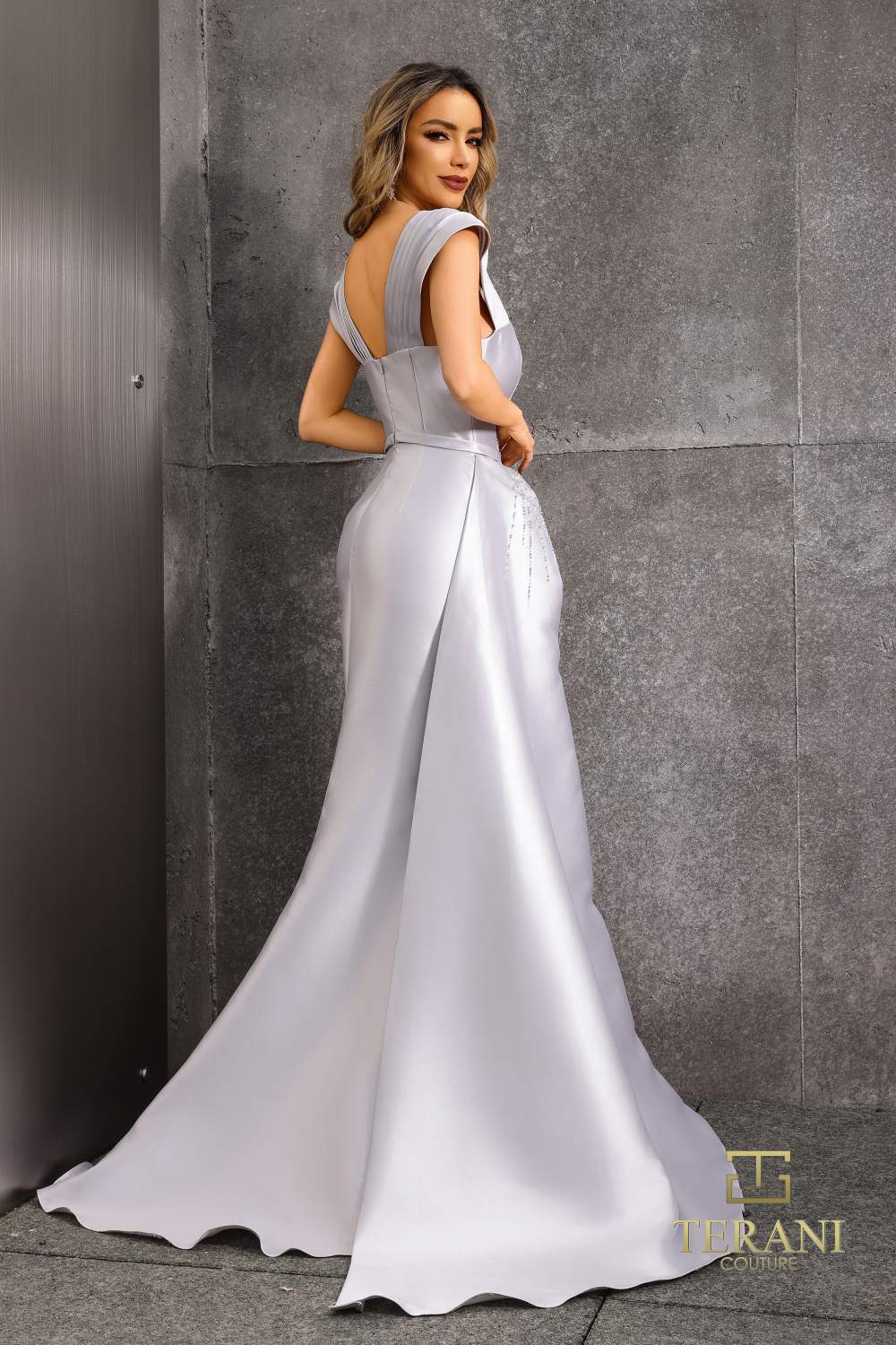 Formal Dresses Long Evening Formal Fitted Dress Silver