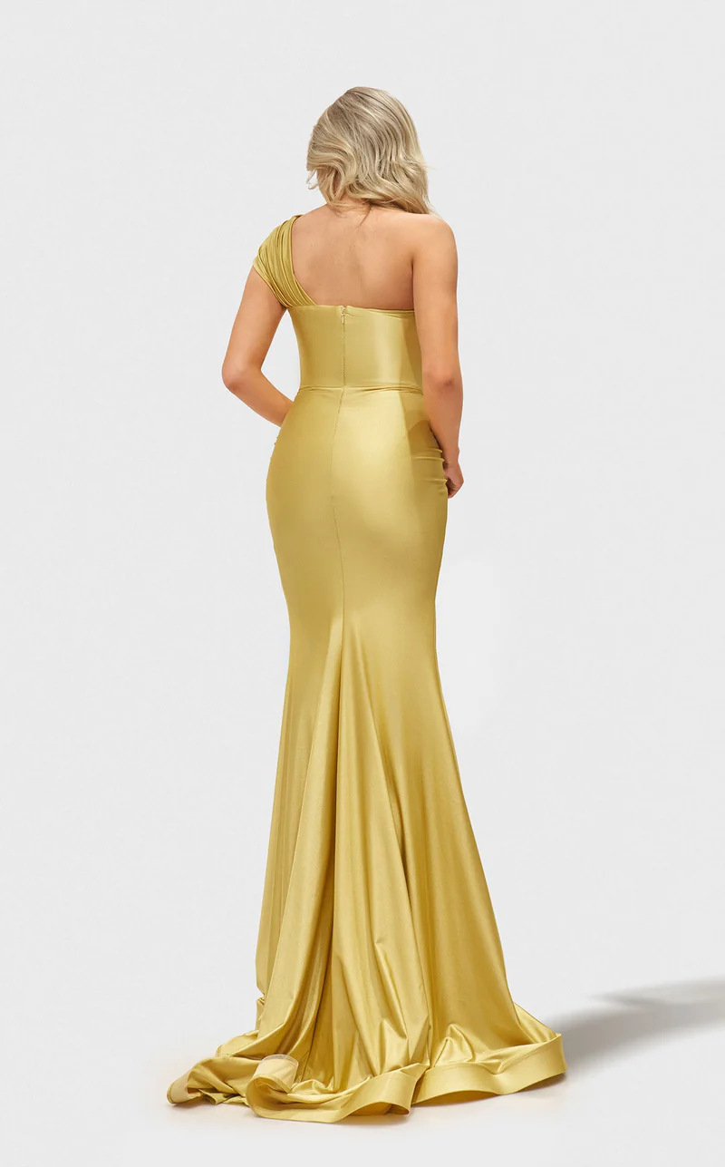 Prom Dresses  Fitted Long Formal Evening Prom Dress Pale Yellow