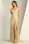 Prom Dresses Long Formal Fitted Lace Prom Dress Champagne
