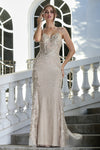 Prom Dresses Glitter Long Fitted Formal Applique Prom Dress Champagne
