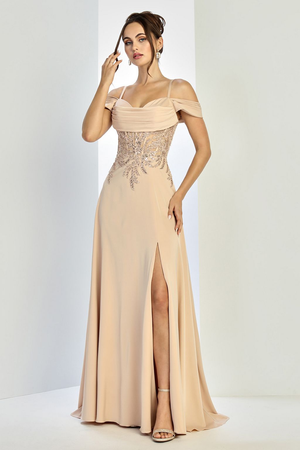 Prom Dresses A Line Long Formal Pleated Corset Evening Prom Dress Champagne
