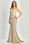 Plus Size Dresses Fitted Long Formal Plus Size Evening Dress Champagne